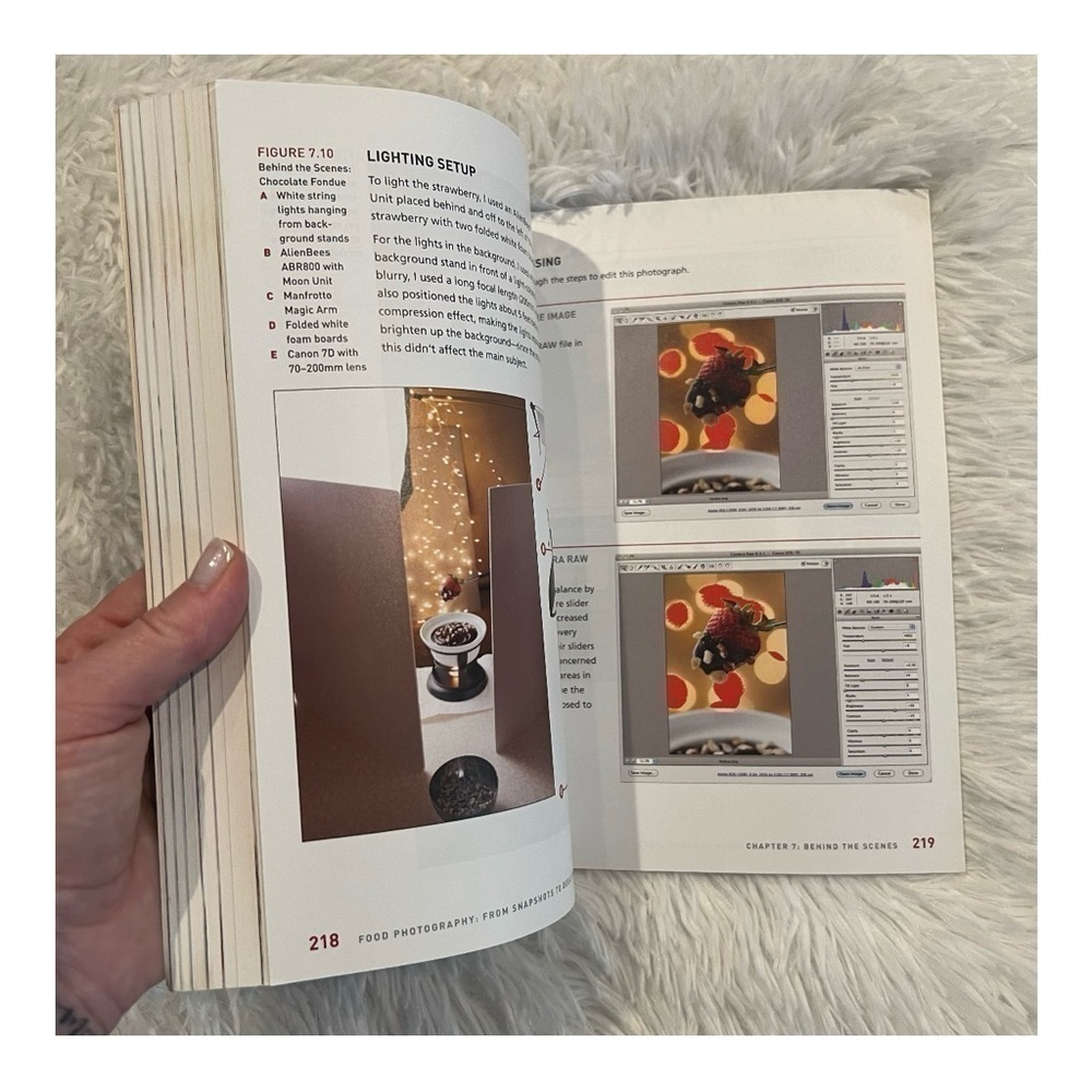 **DONATED** "Food Photography: From Snapshots to Great Shots" by Nicole S. Young - Picture 3 of 4